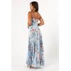 Petal & Pup Womens Naira Pleated Maxi Dress(Blue Floral)